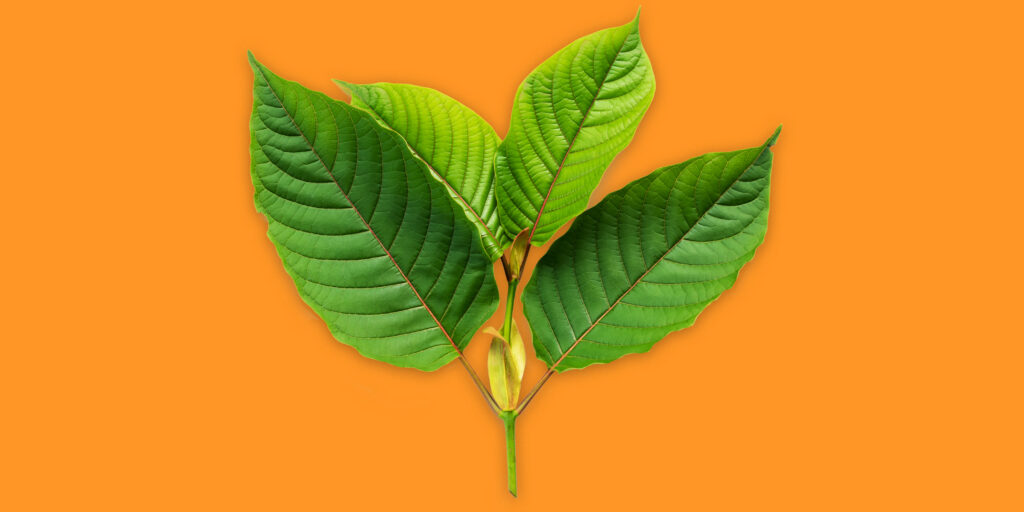 Kratom Products