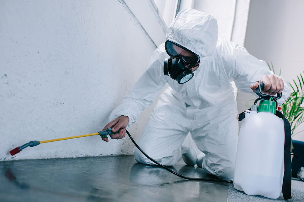 termite control services